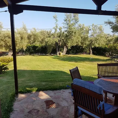 Stalina سيفوتا